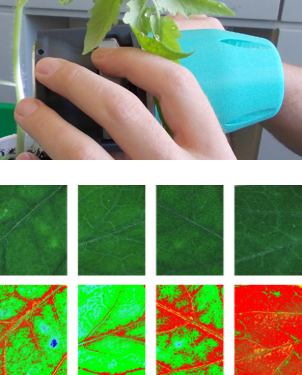 spectricon-phenocheck-img.png